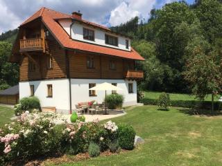 Das Süd-West Apartment - Übelbach - 3