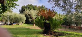 Villa Hephaestus Etna - with private pool - Ragalna - 4