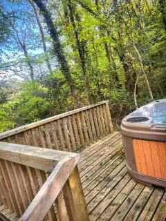 Woodland View -Hot Tub-Tenby-Carmarthen-St Clears - St Clears - 6