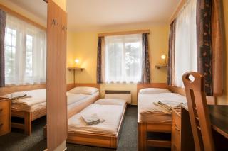 Parkhotel Skalní město - Jičín - 9