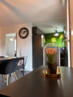 Charmant appartement Toulouse - Toulouse - 5