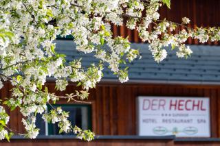 Der Hechl - Tauplitz - 8