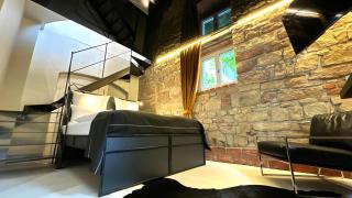 Historical Luxury Homes - Luxus Loft Wallstreet - Friburgo em Brisgóvia - 7