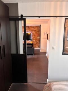 Charmant appartement Toulouse - Toulouse - 4