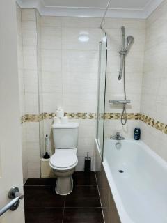 Spacious flat in Streatham - 1