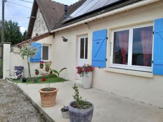 Maison a côté du pal - Saligny-sur-Roudon - 9