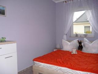 Moderne Erdgeschosswohnung mit Blick auf Hiddensee - Dranske - 8