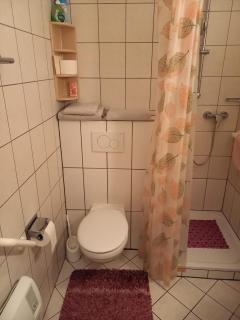 Seestern - 3