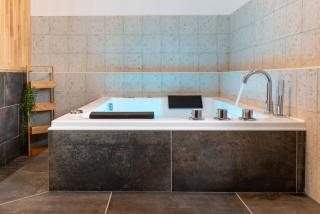 Appartement Premium jacuzzi terrasse climatisation - Frouzins - 0
