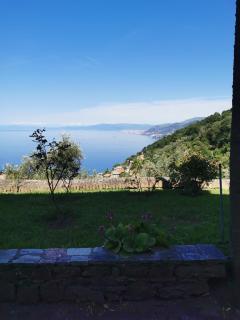 Top Hill Genoa - Camogli - 7