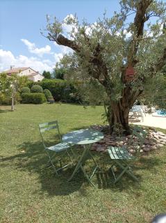 Chambre d'hôte au cœur des Alpilles - Mouriès - 6