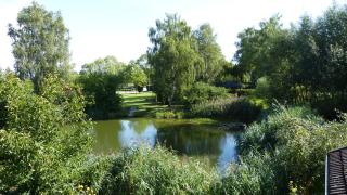 Mini-1-Raum-Apartment mit eigenem Eingang - Bad Doberan - 8