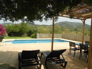 Ses Comes de son Cladera estate - Manacor - 3