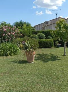 Chambre d'hôte au cœur des Alpilles - Mouriès - 8
