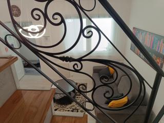 Zemun Central - Zemun - 9