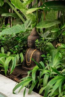 PROMO! Villa Rosa - New Luxury 1 bedroom villa in Canggu - 2 minutes to Echo beach - 3