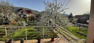 Studio Petrović - 4