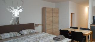 Bayernwald Apartment - Sankt Englmar - 9