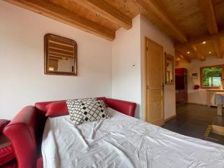 Chalet tradition 6 pers avec cheminée, balcon et parking à Samoëns - FR-1-624-124 - Samoëns - 4