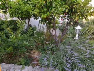 Apartmani Lily - Vodice - 6
