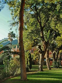 Sea views penthouse in placid natural setting - Marbella - 8