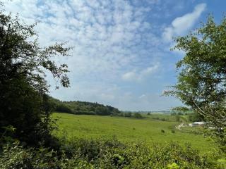 Hoarthorns Hideaway Forest of Dean - Coleford - 2
