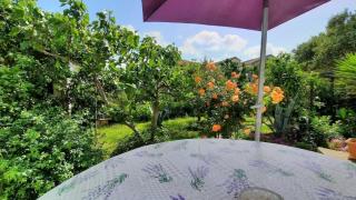 Schönes Haus Mit Privatem Garten - 9