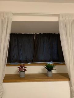 Isidora Studio Apartman - Zagabria - 1