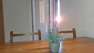 Appartement In Baška Voda - 1