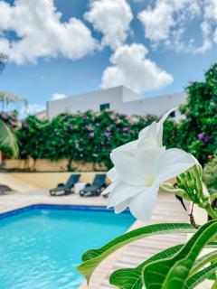 Villa Sandemarie Curaçao - Willemstad - 7