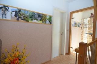 Ferienhaus Wotan bis 12 Personen - Thale - 3
