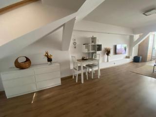 Černý Tulipán - apartmán 6 - Plzeň - 7