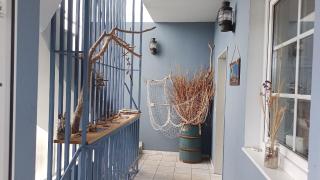 Kleine Ferienwohnung mit Hund - Lütow - 4