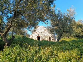 Agricampeggio Wishne - Bisceglie - 5