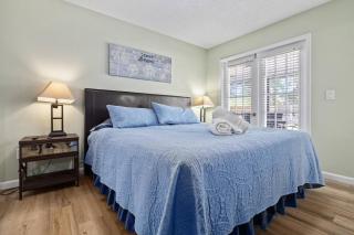 Sunshine and Serenity - Palm Harbor - 5