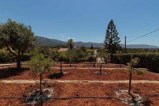 Villa Santa Barbara - Sissi (Sisi) - 6
