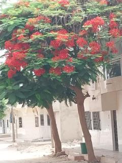 Chez Ousmane Fall ASECNA - 5