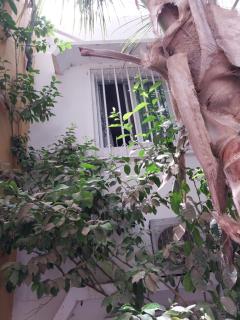 Chez Ousmane Fall ASECNA - Saint-Louis - 2
