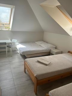 Noclegi u Alicji - 5