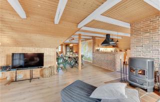 Three-Bedroom Holiday Home With A Fireplace In Ringkøbing - 6