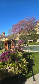 B&B Il Sogno del Pinzagrilli - Guardistallo - 9