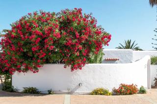 Residencial Bogamarí - Baia di Sant'Antoni - 9