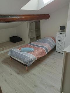 Duplex familial grand confort T3 - Toulouse - 5