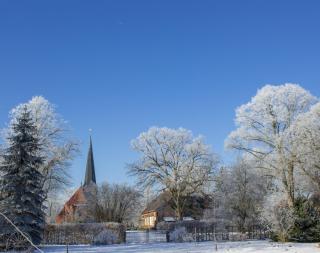 Damwildhof Fewo zur Linde - Blievenstorf - 5