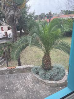 BigBlue house - 3