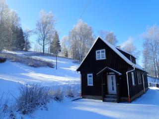 Ferienhaus Anno Dazumal wie zu Großmutters Zeiten, Gösselberg 24 - Klingenthal - 1