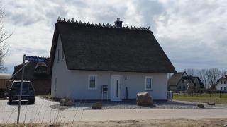 Ferienhaus in Mellnitz mit Großem Garten - 4