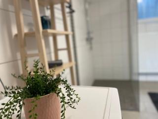 NEU renovierte Ferienwohnung - Buchet - 9