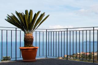 Elegantes Ferienhaus in Santana mit Grill, Terrasse und Garten - Faial - 3