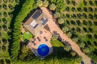 Schönes Landhaus mit Pool für 8 Personen - Sa Pobla - 3